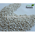 Supply Chinese White Beans, Navy Type